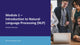 Natural Language Processing (NLP) Fundamentals for Business Users